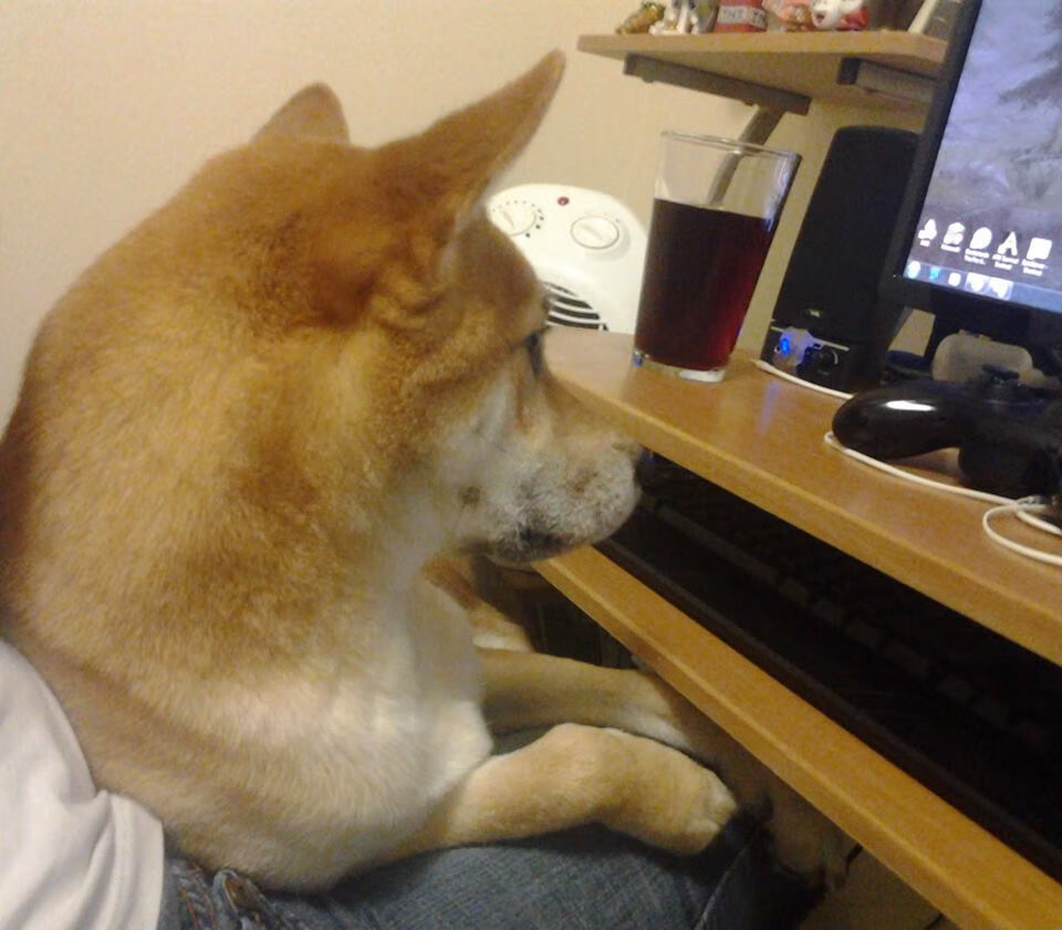 寒夜中的金童,佩德里率巴萨鏖战丹麦启示录