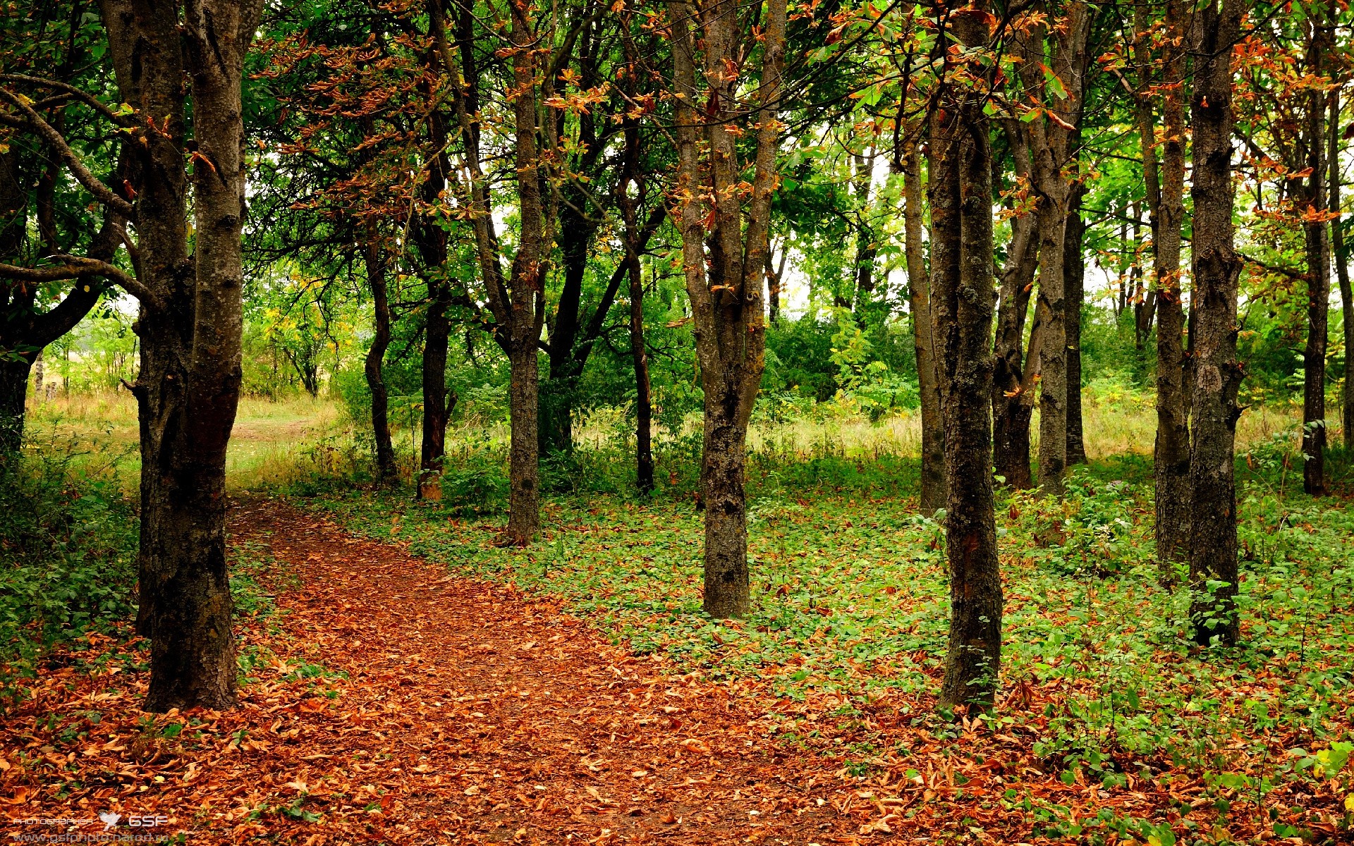 威廉姆斯车队逆袭!周冠宇关键制胜,开启F1双重突破新纪元