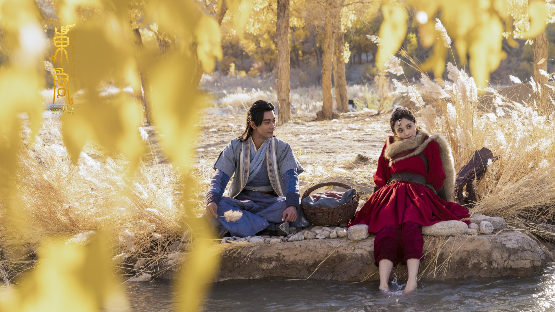 雪落麦迪逊,与君同销万古愁