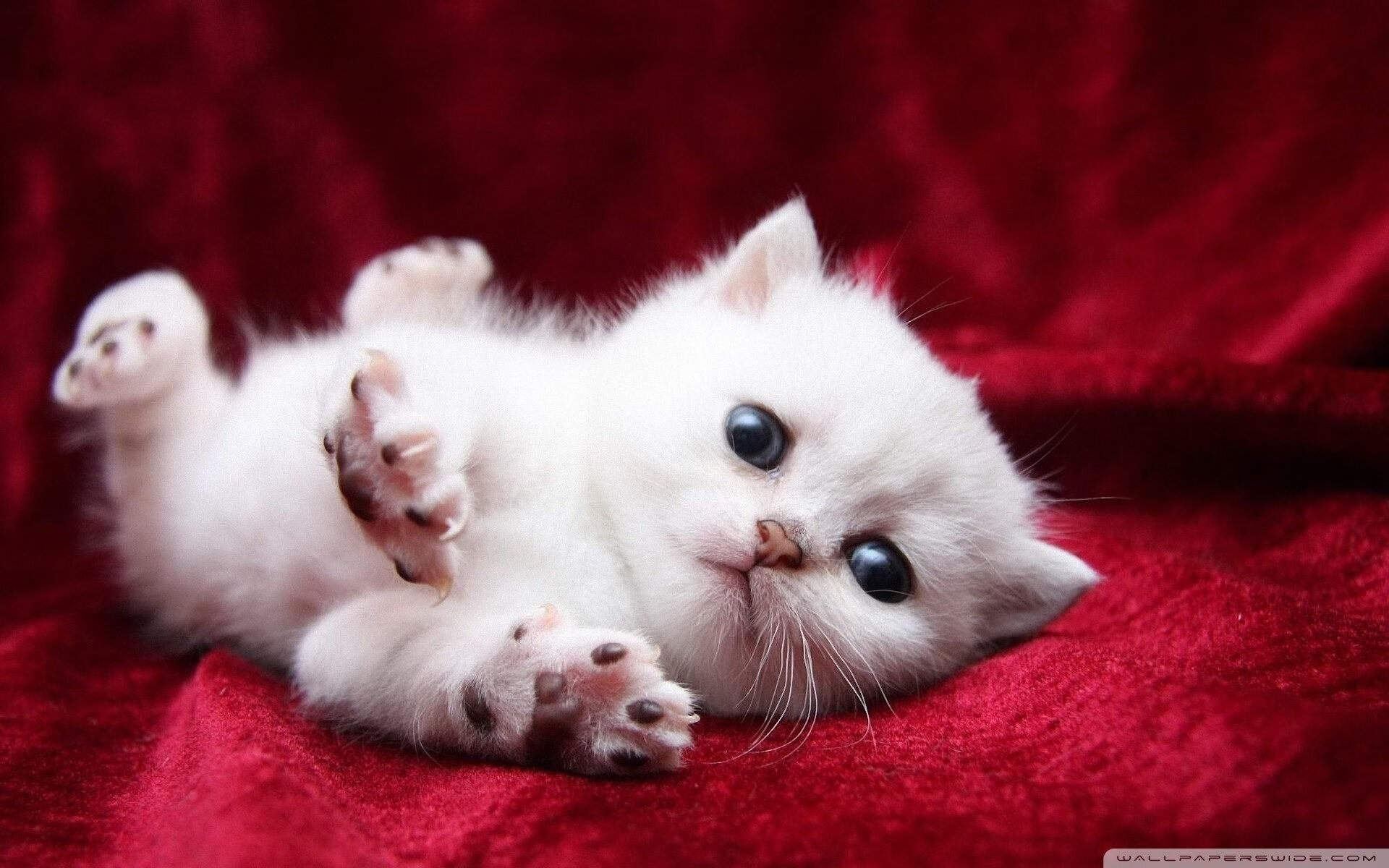 夜访童话镇,丹麦绝地反击,奥利维耶一骑绝尘