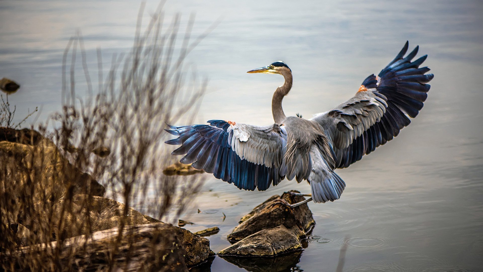 东亚铁骑破美利坚铁幕!辽宁总决赛级表现击溃篮网,字母哥空砍里程碑夜