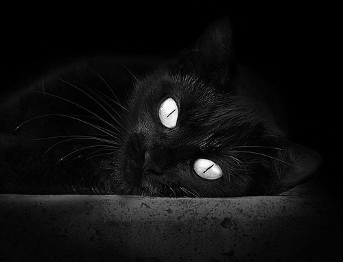 跨界风暴，深圳队强压76人，欧文欧冠决赛演绎篮球魔法