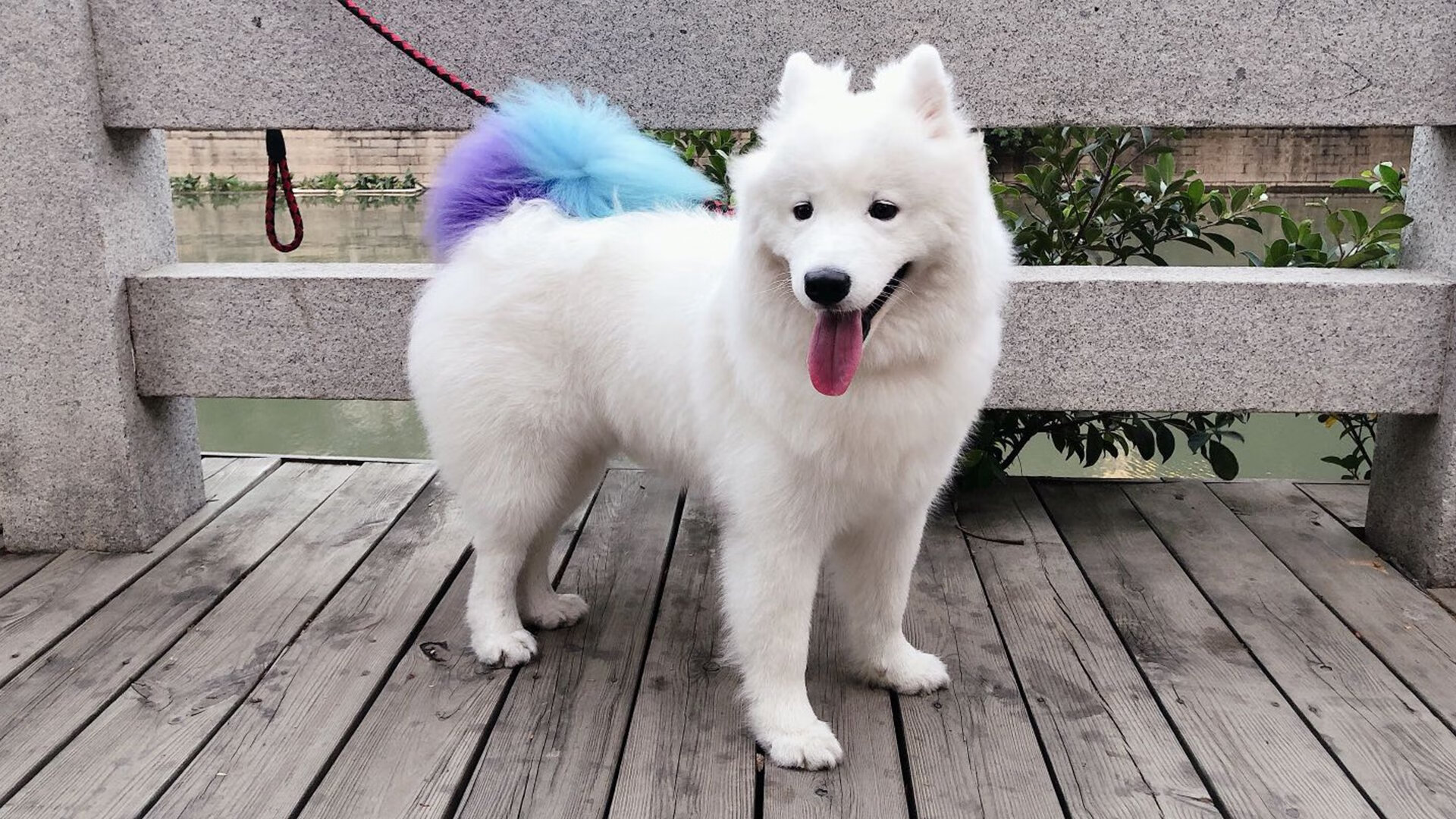 德甲争冠战之夜，一记绝杀与一个王朝的诞生，布伦森以谁与争锋的方式成为全场唯一焦点