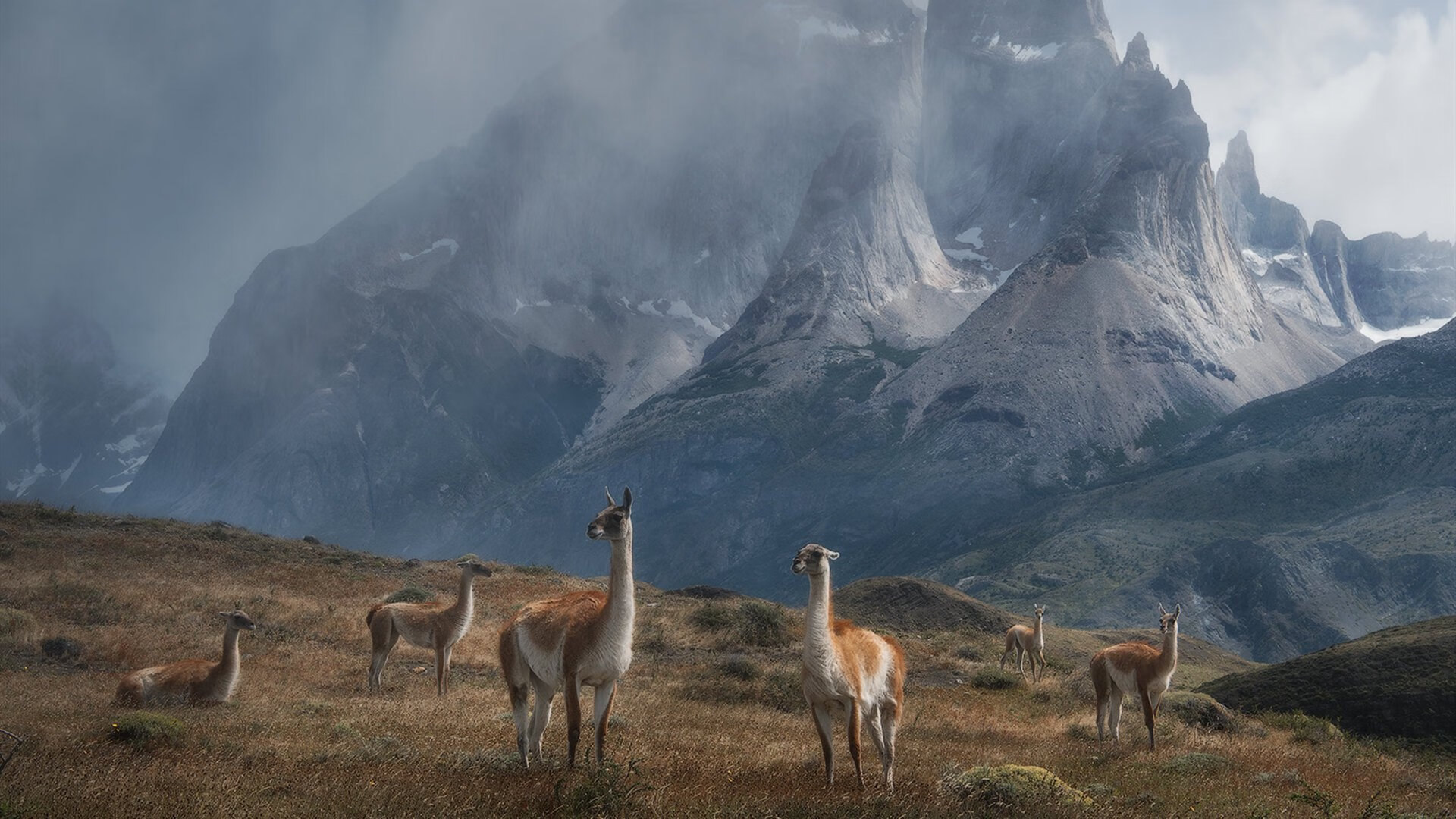 赛道与球场的量子纠缠，当F1雷霆战术穿越压制NBA公牛