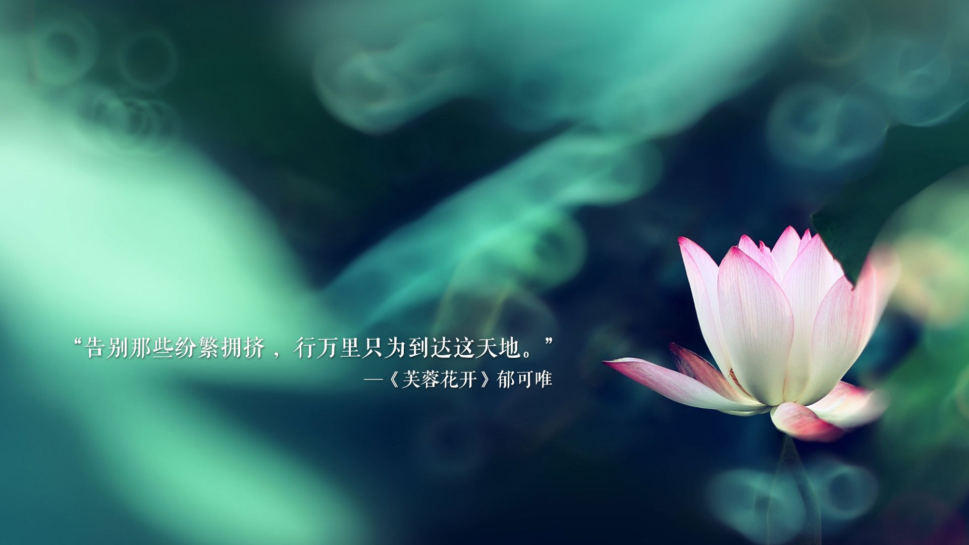 宿命的回声,2026,当拉什福德的手指点向秘鲁,尼日利亚重写足球史诗