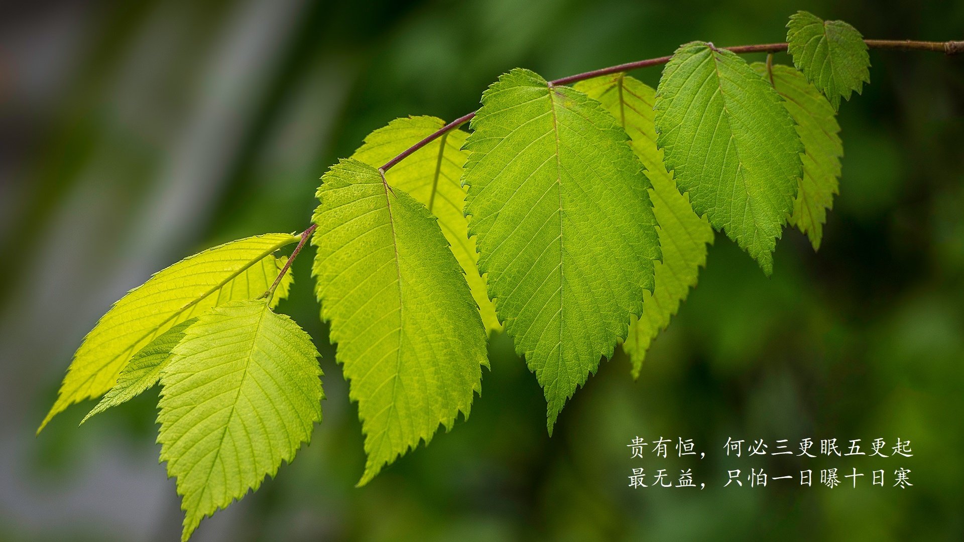 致命一击与碾压重生,2026世界杯B组,阿诺德终结厄瓜多尔的完美风暴