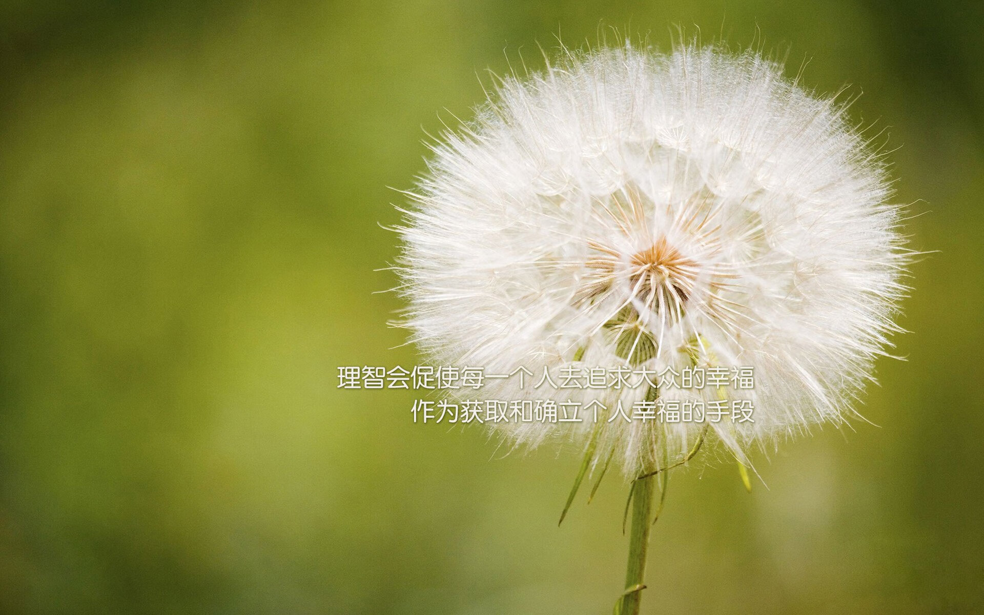 德黑兰的红色风暴,2026世界杯H组焦点战,伊朗完胜美国,萨卡如何用一场比赛改写了足球政治学