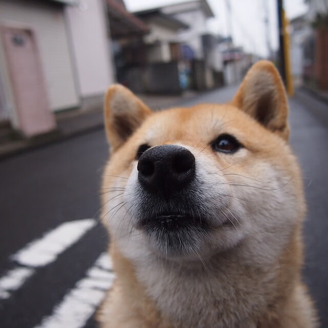 拟定